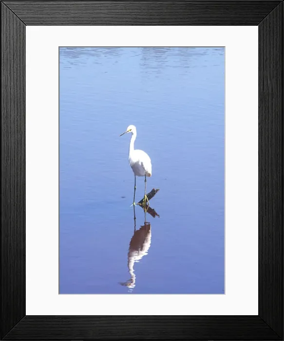 Framed Print : DDE-90038949