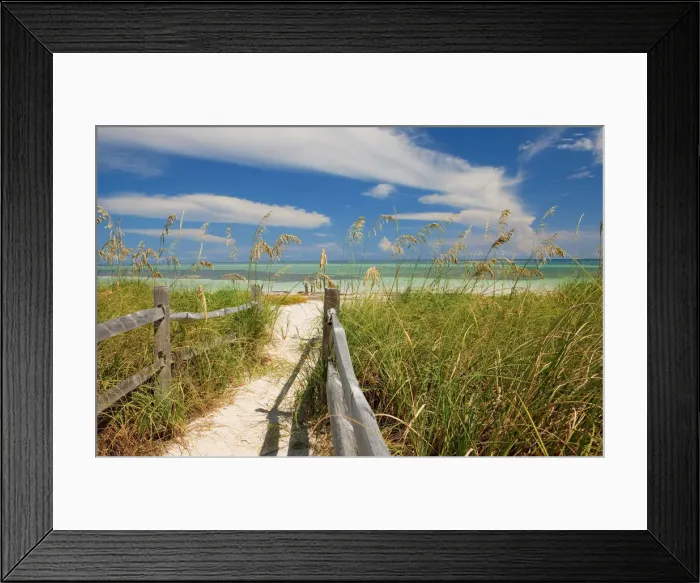 Framed Print : DDE-90038977 Framed Print : DDE-90038977