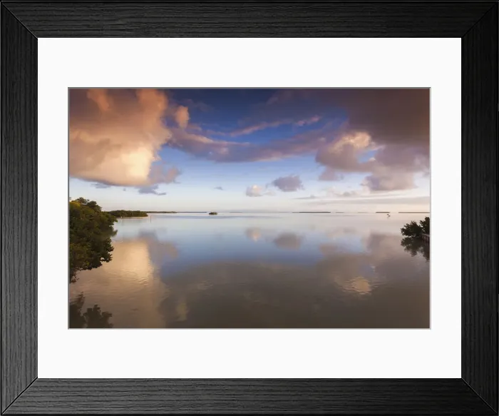 Framed Print : DDE-90038978 Framed Print : DDE-90038978