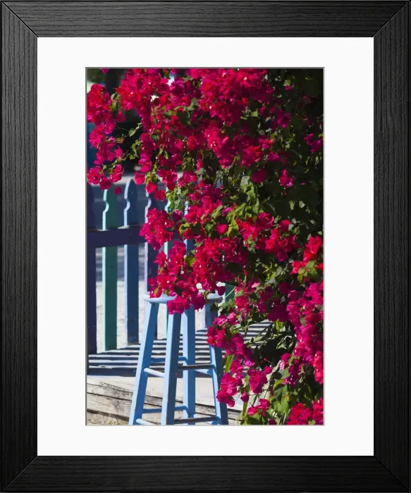 Framed Print : DDE-90038979 Framed Print : DDE-90038979