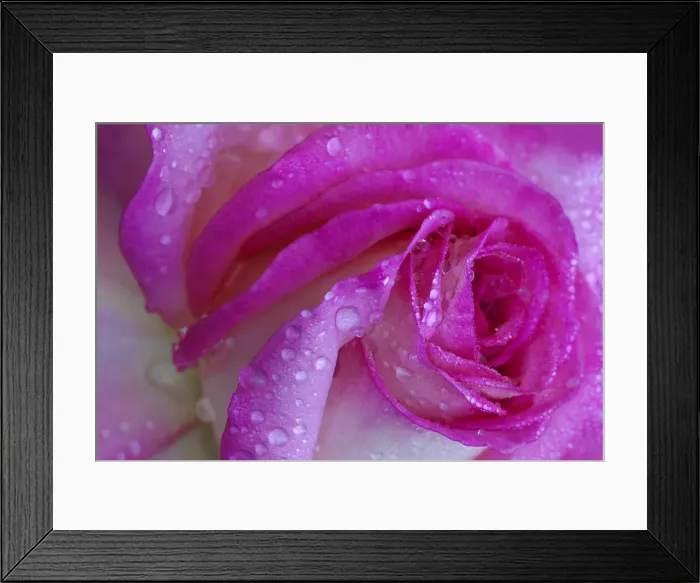 Framed Print : DDE-90038981 Framed Print : DDE-90038981