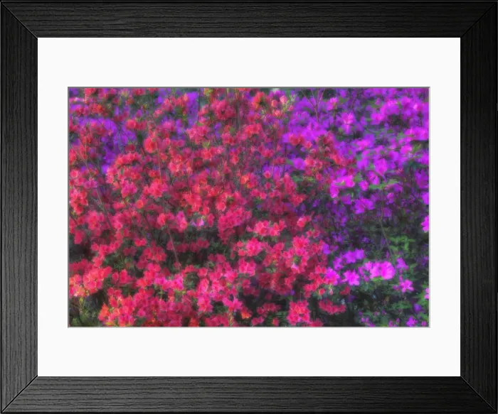 Framed Print : DDE-90038983