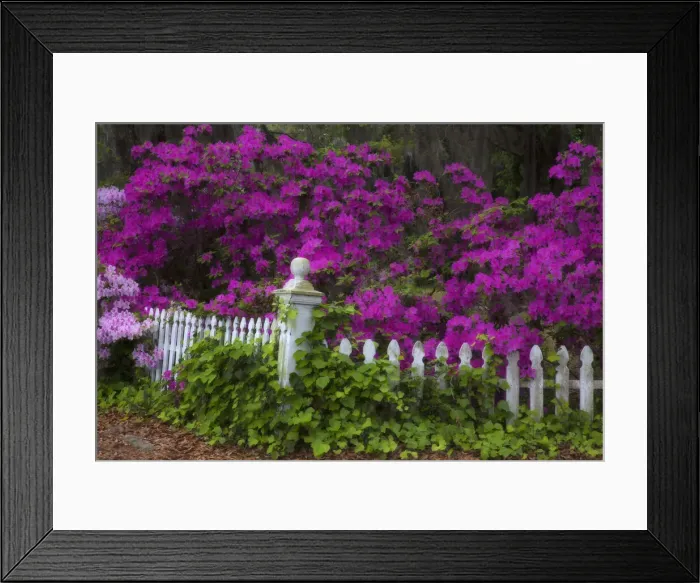 Framed Print : DDE-90038984 Framed Print : DDE-90038984