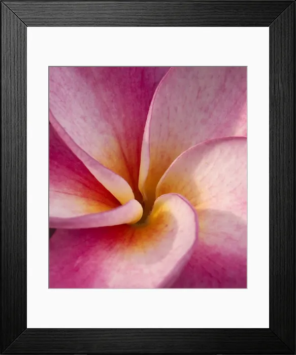 Framed Print : DDE-90038994 Framed Print : DDE-90038994