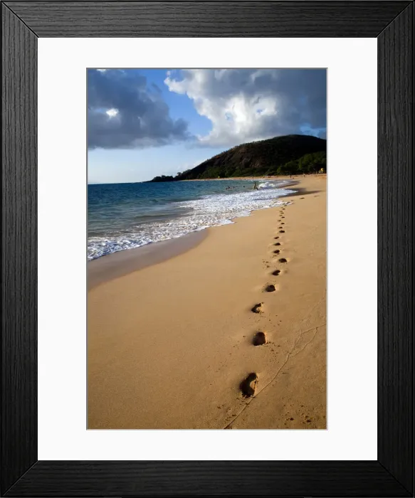 Framed Print : DDE-90038997 Framed Print : DDE-90038997