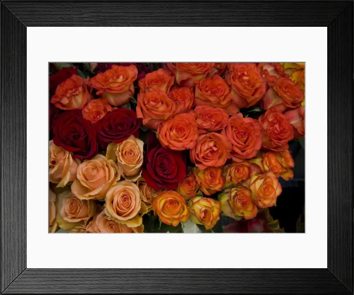 Framed Print : DDE-90038999