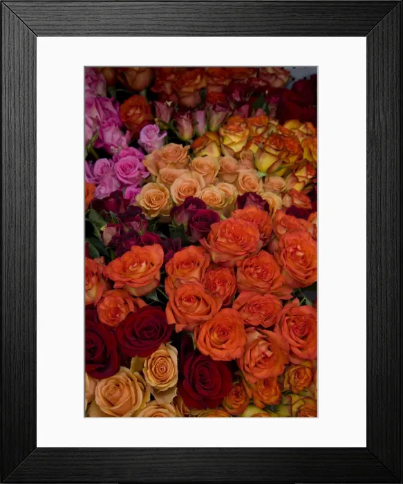 Framed Print : DDE-90039000 Framed Print : DDE-90039000