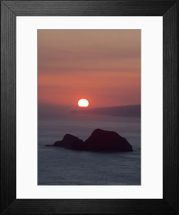 Framed Print : DDE-90039005