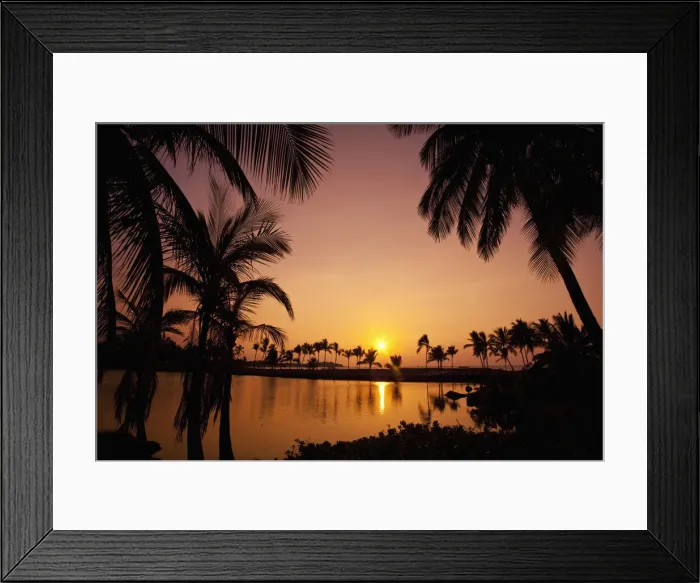 Framed Print : DDE-90039003 Framed Print : DDE-90039003