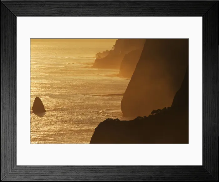 Framed Print : DDE-90039007 Framed Print : DDE-90039007