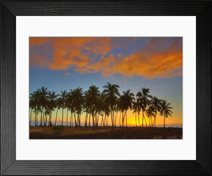 Framed Print : DDE-90039008 Framed Print : DDE-90039008