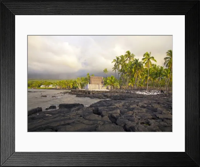 Framed Print : DDE-90039011 Framed Print : DDE-90039011