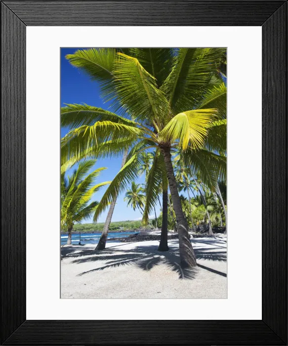 Framed Print : DDE-90039010 Framed Print : DDE-90039010