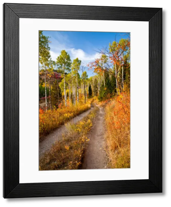 Framed Print : DDE-90039013 Framed Print : DDE-90039013