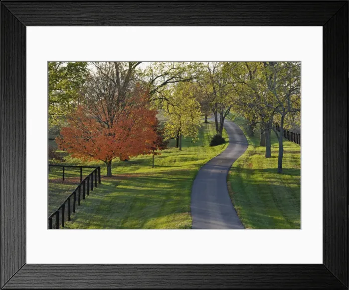 Framed Print : DDE-90039025 Framed Print : DDE-90039025