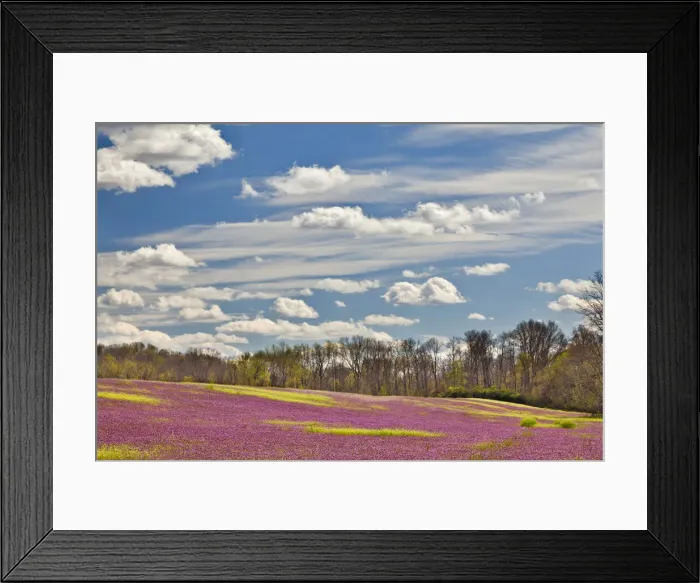 Framed Print : DDE-90039035 Framed Print : DDE-90039035