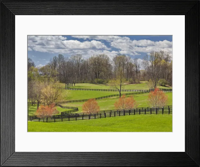 Framed Print : DDE-90039036 Framed Print : DDE-90039036