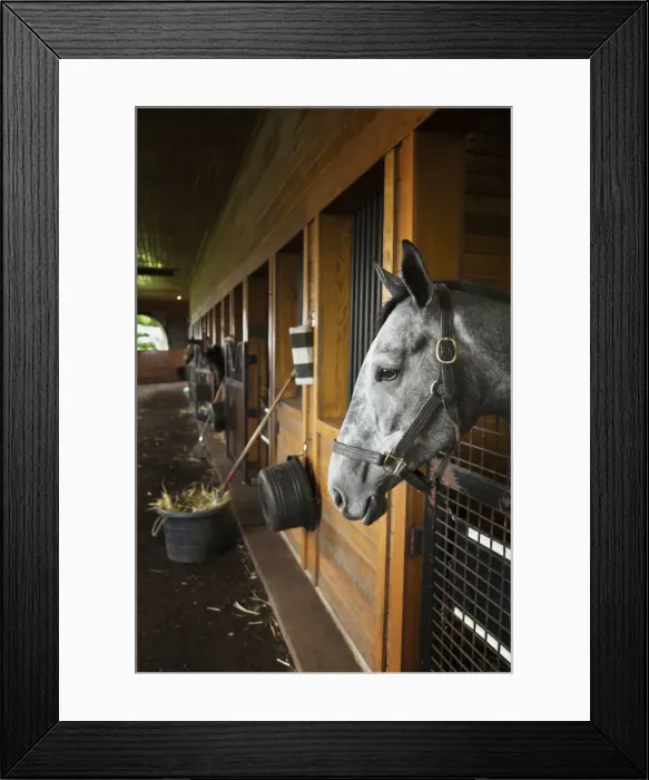 Framed Print : DDE-90039037 Framed Print : DDE-90039037