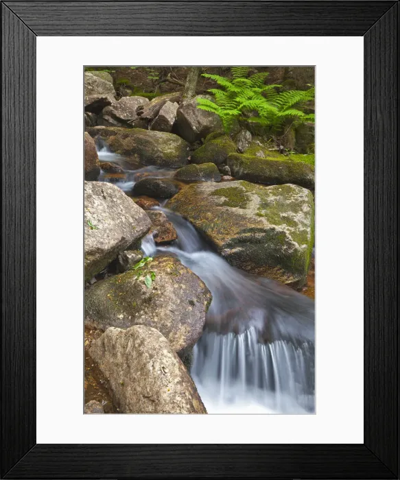 Framed Print : DDE-90039042 Framed Print : DDE-90039042
