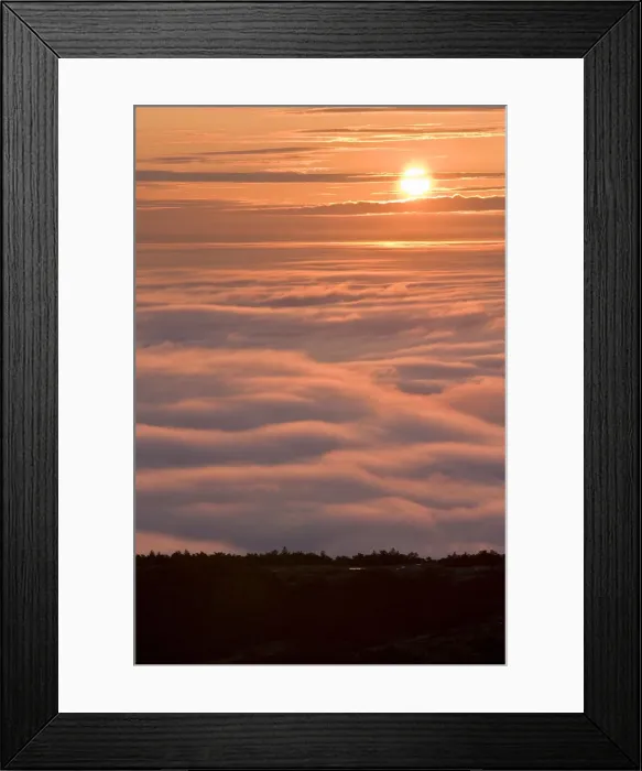 Framed Print : DDE-90039046