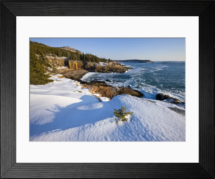 Framed Print : DDE-90039050 Framed Print : DDE-90039050