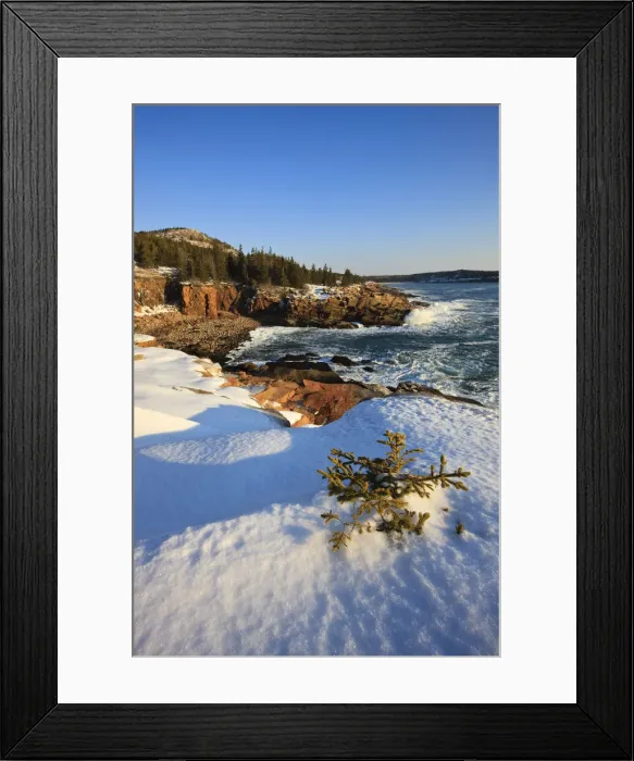Framed Print : DDE-90039051 Framed Print : DDE-90039051