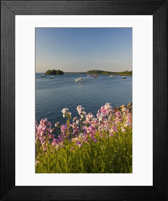 Framed Print : DDE-90039053 Framed Print : DDE-90039053