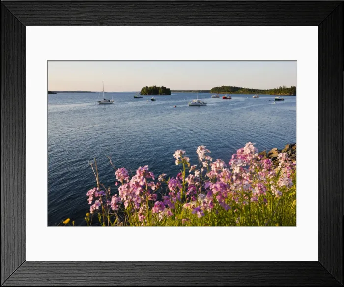 Framed Print : DDE-90039054 Framed Print : DDE-90039054