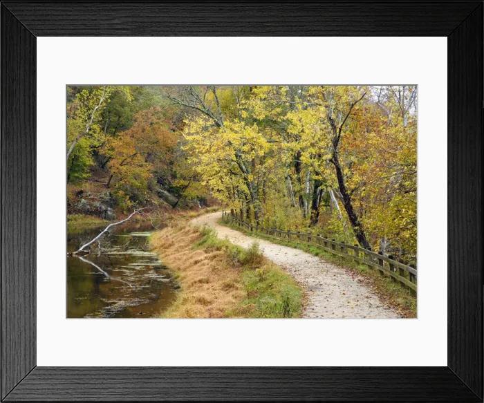 Framed Print : DDE-90039060 Framed Print : DDE-90039060