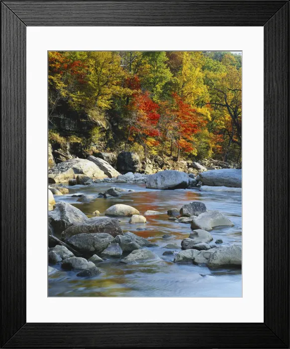 Framed Print : DDE-90039059 Framed Print : DDE-90039059