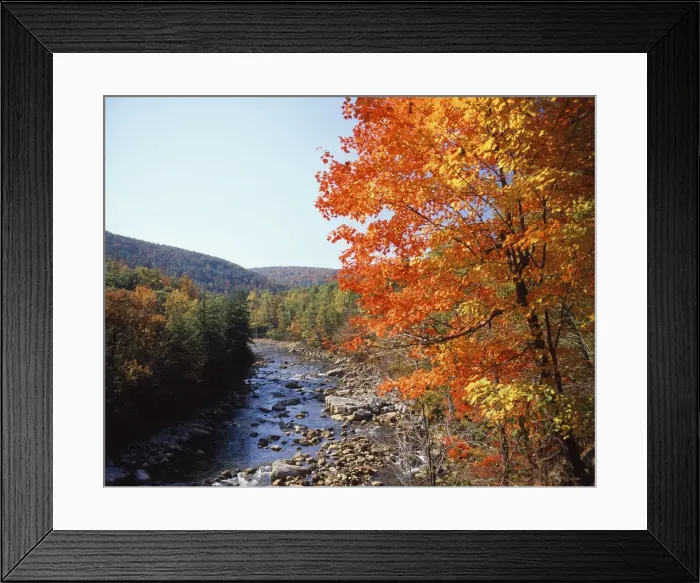 Framed Print : DDE-90039062 Framed Print : DDE-90039062