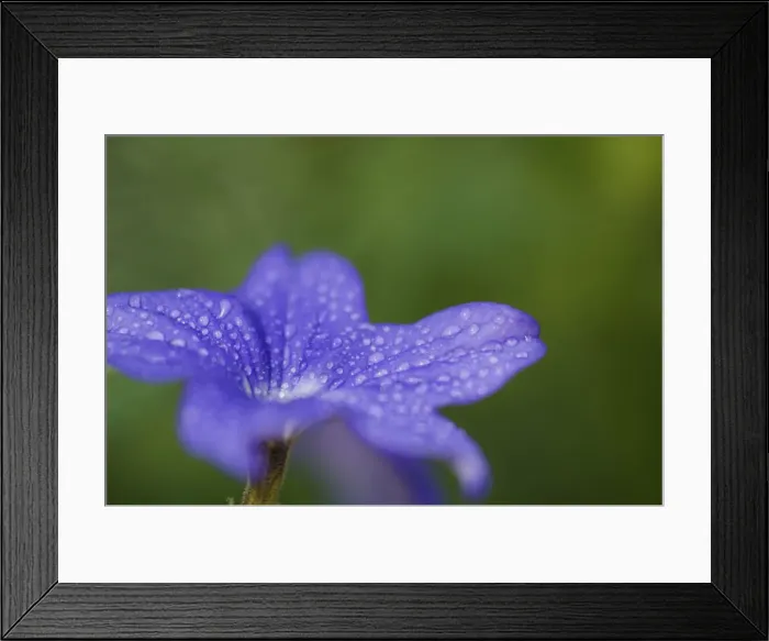 Framed Print : DDE-90039066