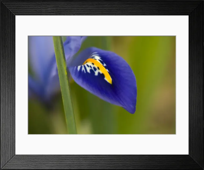 Framed Print : DDE-90039067 Framed Print : DDE-90039067