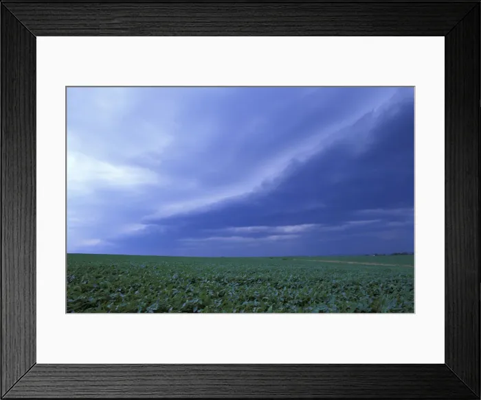 Framed Print : DDE-90039074 Framed Print : DDE-90039074