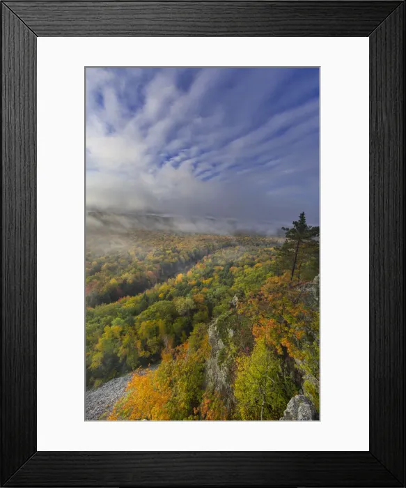 Framed Print : DDE-90039108 Framed Print : DDE-90039108