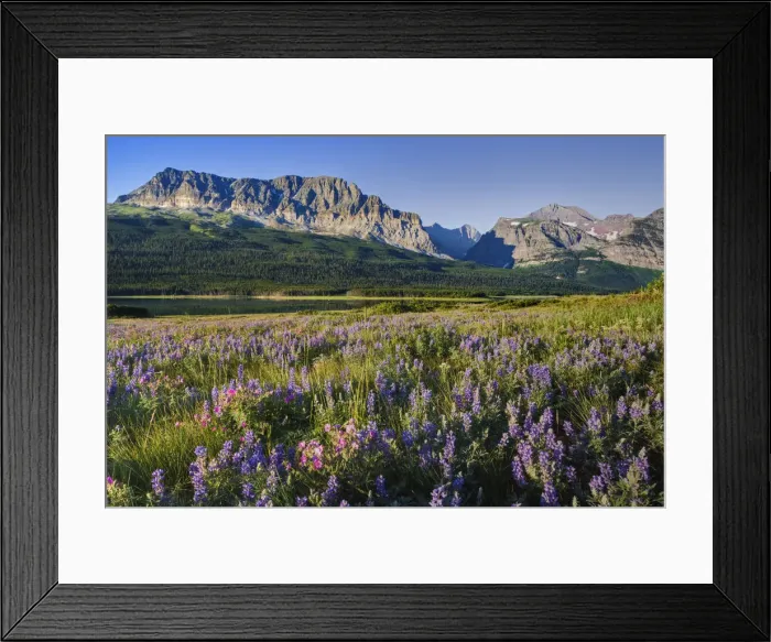 Framed Print : DDE-90039113 Framed Print : DDE-90039113
