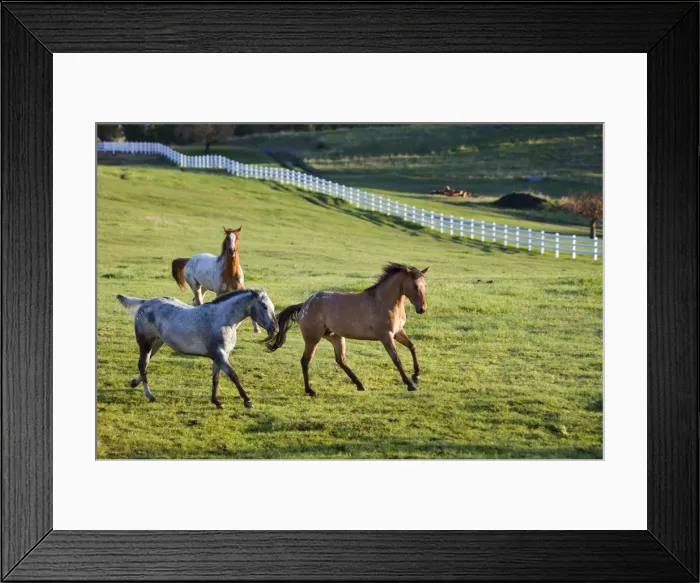 Framed Print : DDE-90039121 Framed Print : DDE-90039121