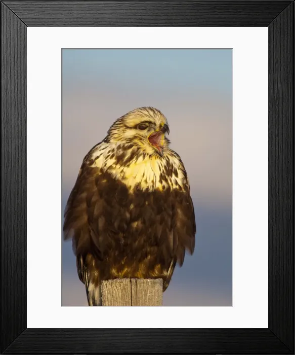 Framed Print : DDE-90039125