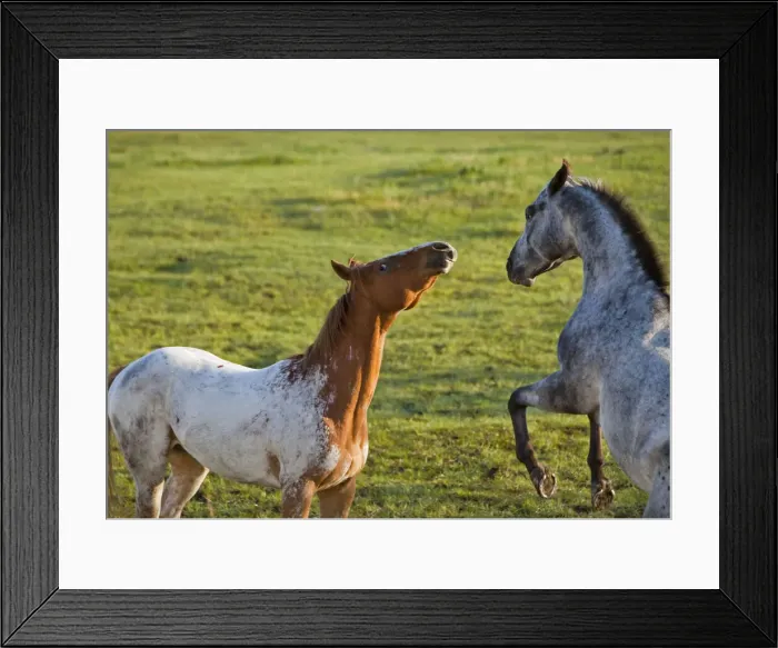 Framed Print : DDE-90039122 Framed Print : DDE-90039122