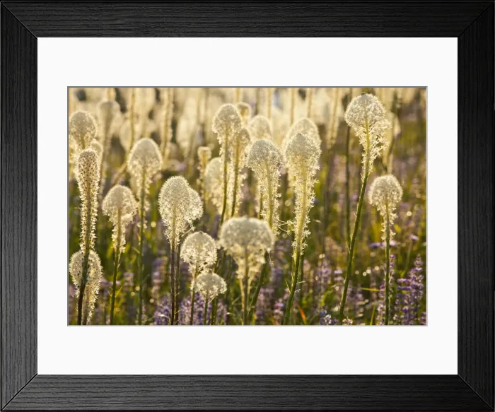 Framed Print : DDE-90039130 Framed Print : DDE-90039130
