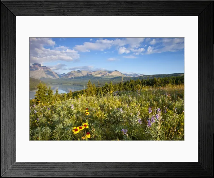 Framed Print : DDE-90039135 Framed Print : DDE-90039135
