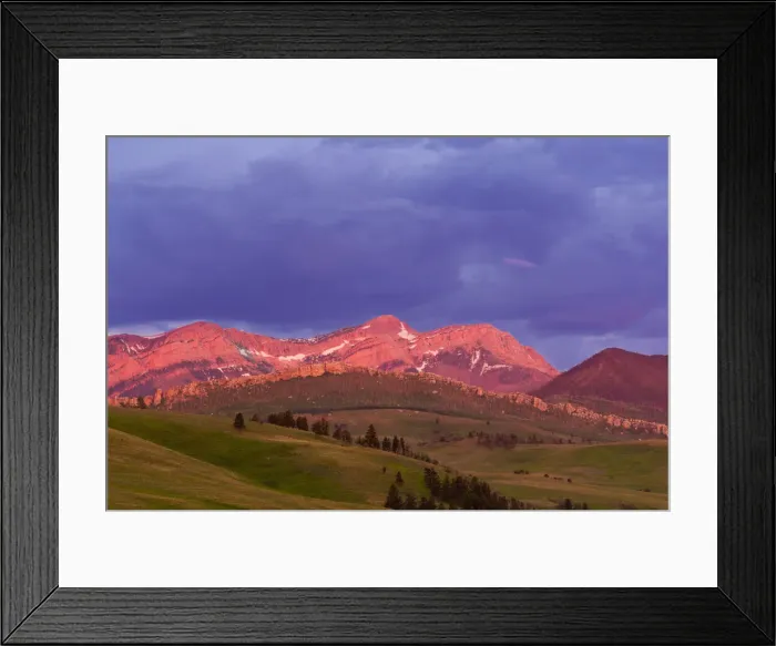 Framed Print : DDE-90039142