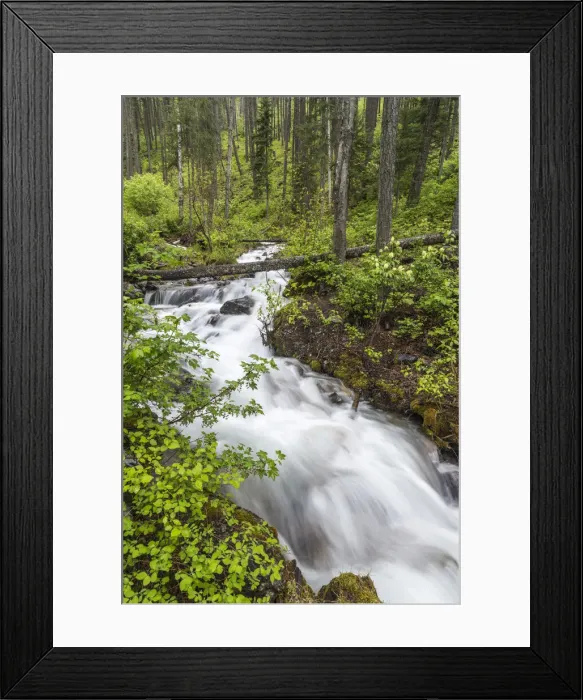 Framed Print : DDE-90039147 Framed Print : DDE-90039147