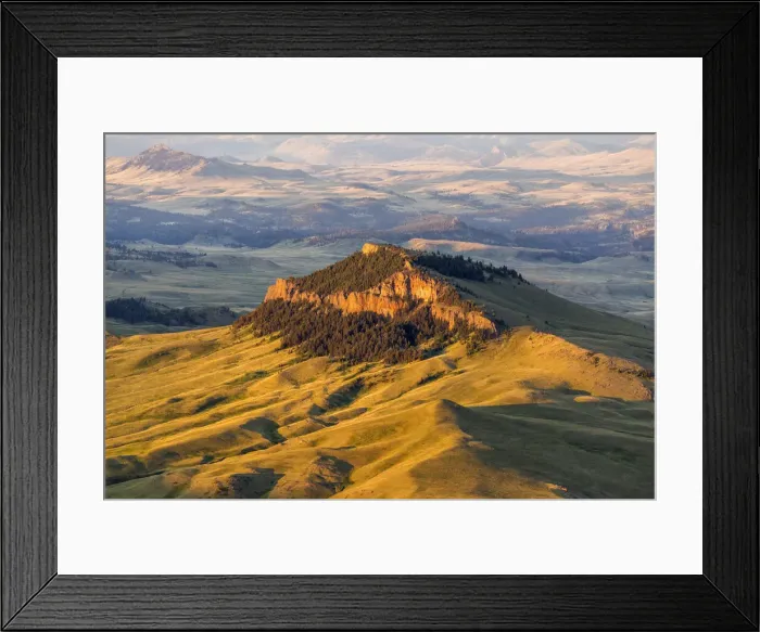 Framed Print : DDE-90039149