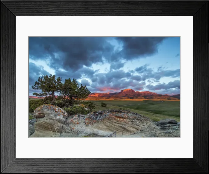 Framed Print : DDE-90039146 Framed Print : DDE-90039146