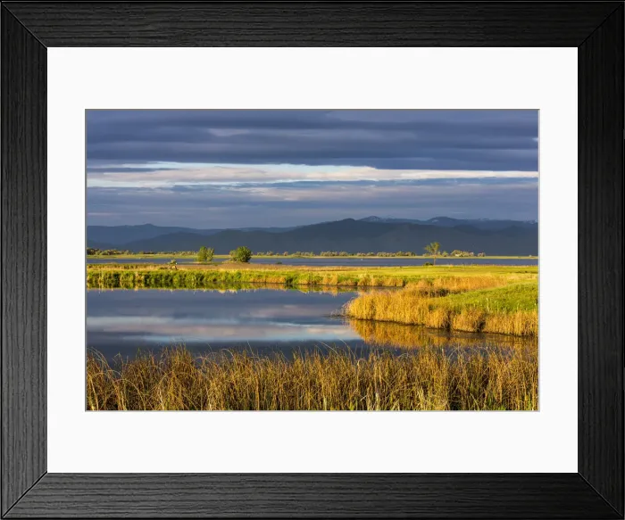 Framed Print : DDE-90039154 Framed Print : DDE-90039154