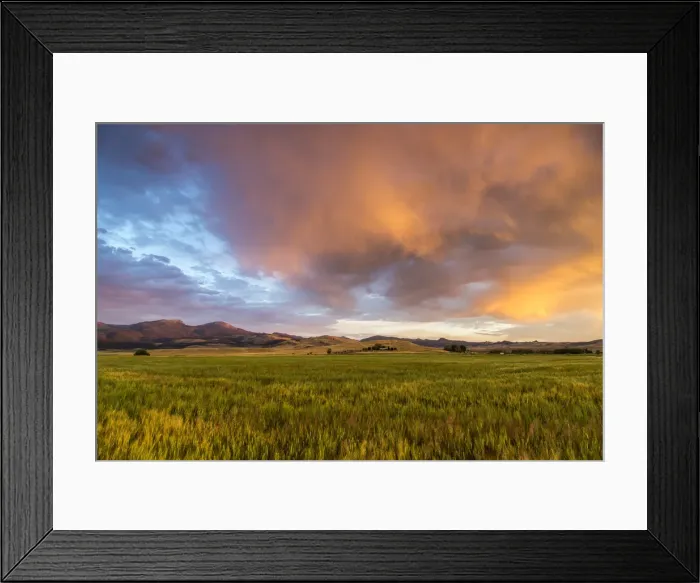 Framed Print : DDE-90039160