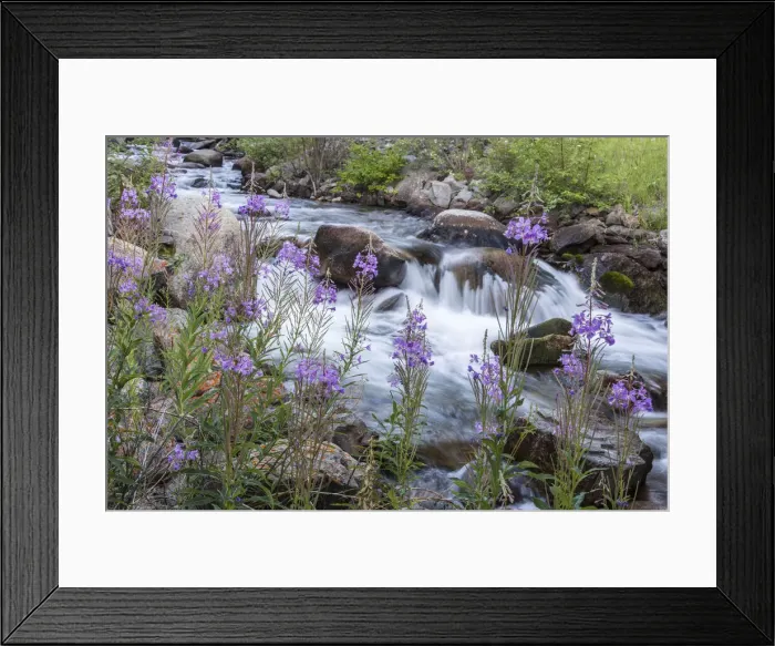 Framed Print : DDE-90039159 Framed Print : DDE-90039159