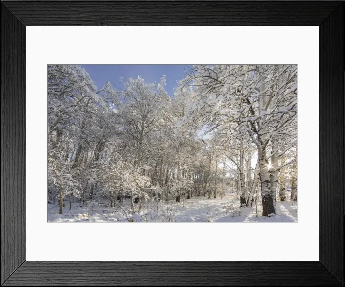 Framed Print : DDE-90039165