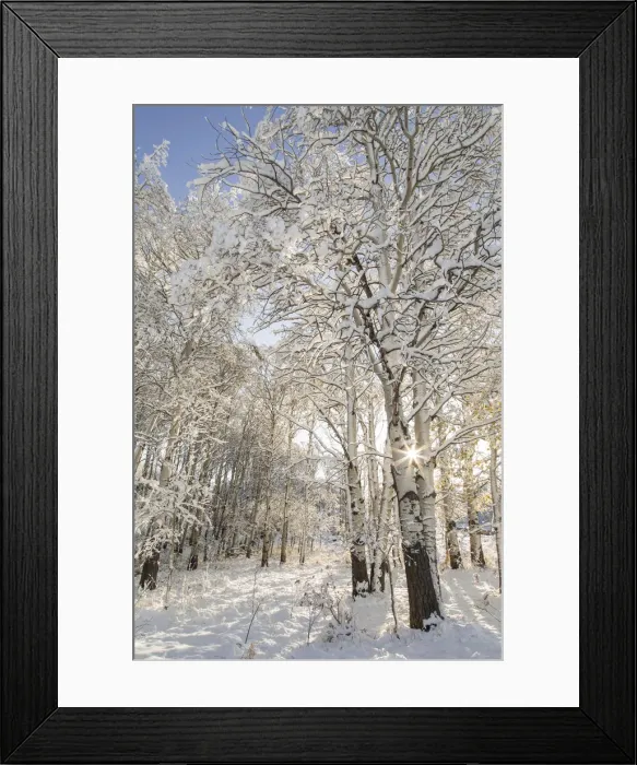 Framed Print : DDE-90039166 Framed Print : DDE-90039166